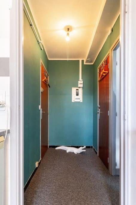 Double Appartement, Saint Michel, Parking, Wifi Toulouse Exteriör bild